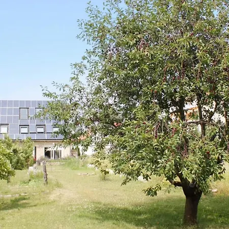 Hofhaus Land-idylle In Der Stadt * 마인츠